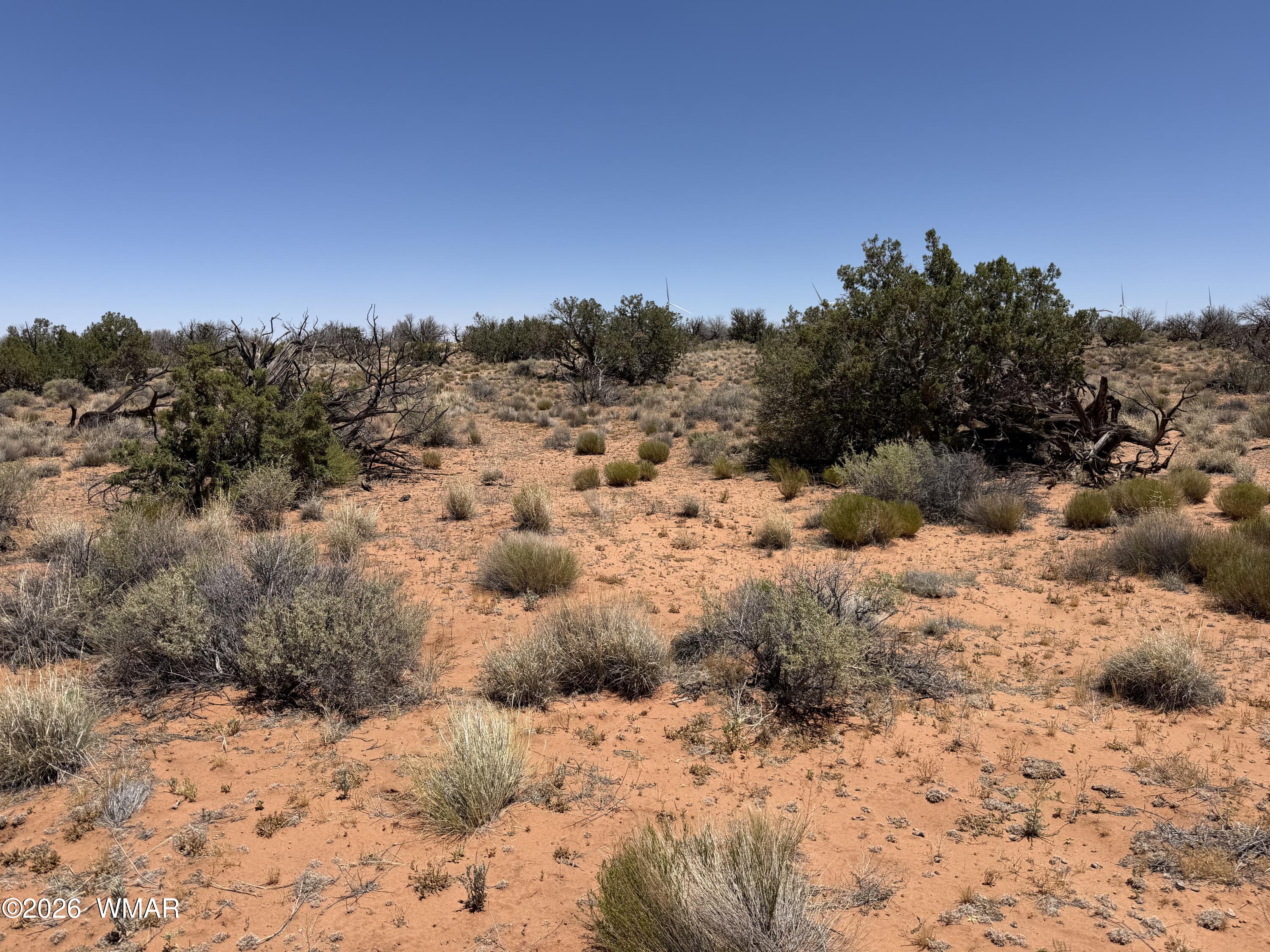 Lot 276 Chev Canyon Ranch, Unit 3 Overgaard, AZ 85933 - Photo 7 of 18