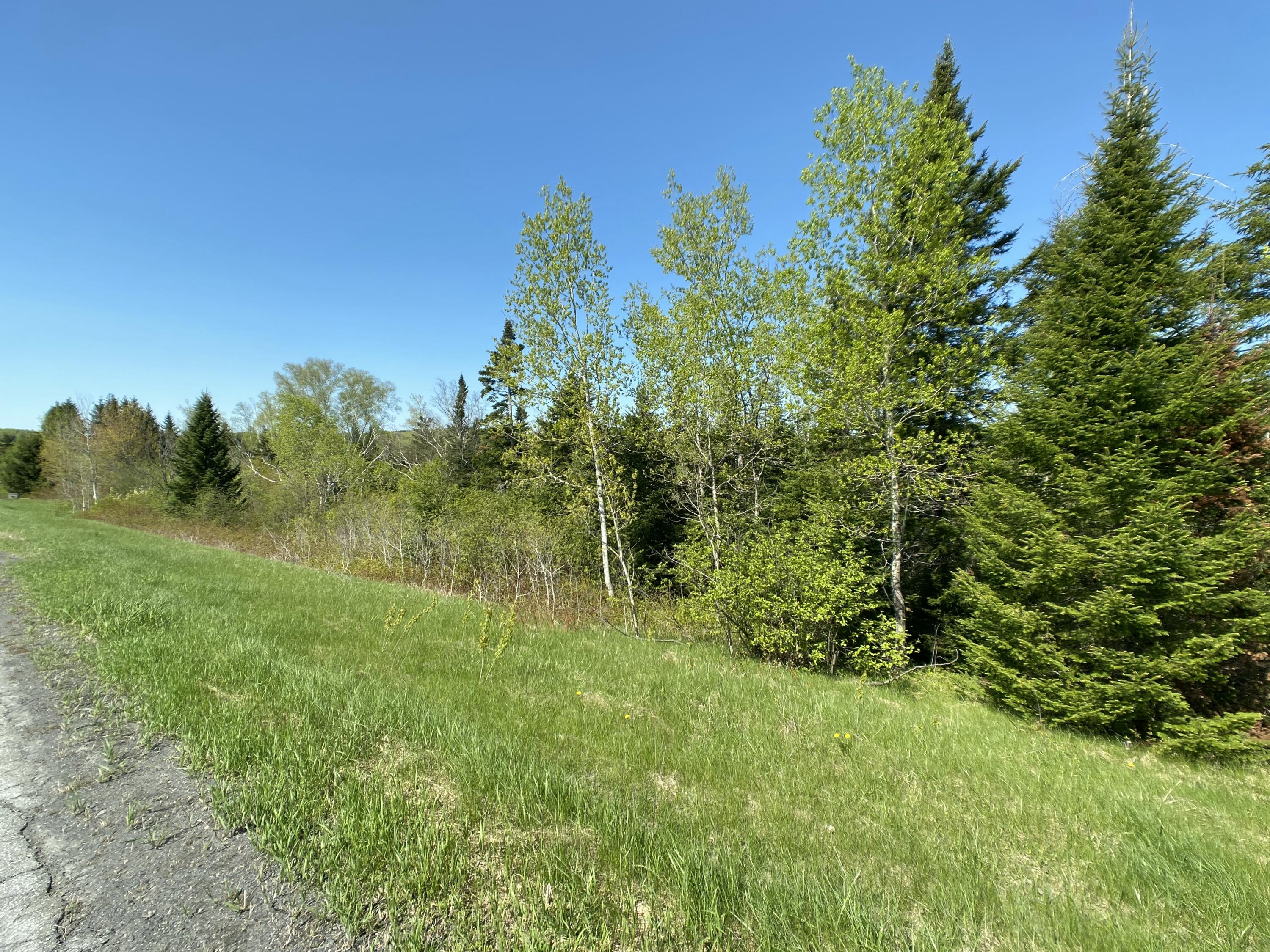 4-31 Caribou Road Presque Isle, ME 04769 - Photo 3 of 19