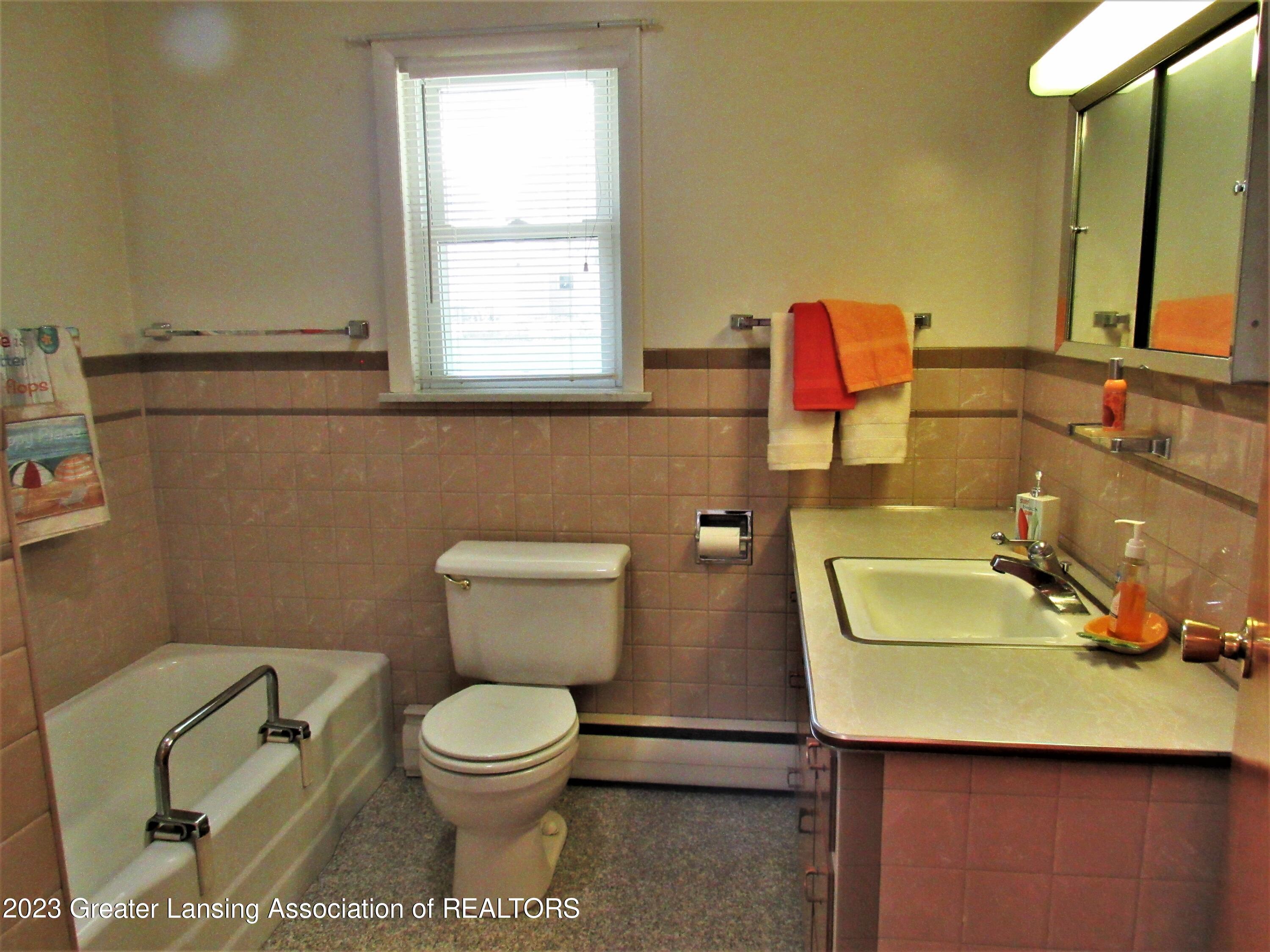 6398 Valley Trail Dimondale, MI 48821 - Photo 17 of 38 Full Bath