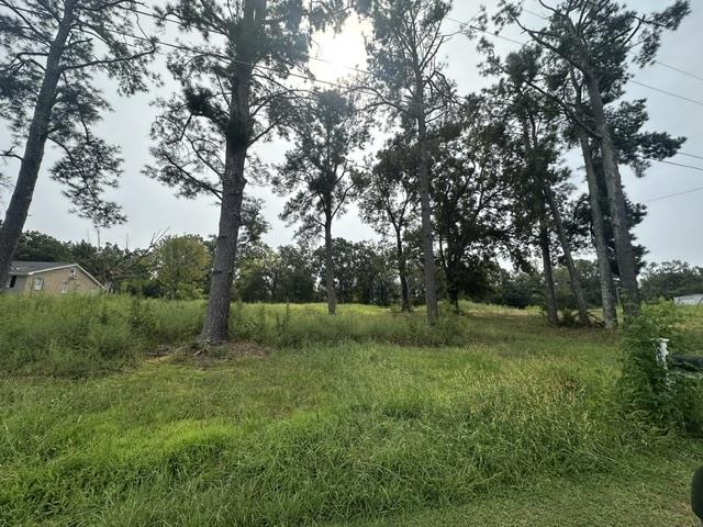 10 Drake Loop Savannah, TN 38372 - Photo 2 of 3 Gallery Image 2