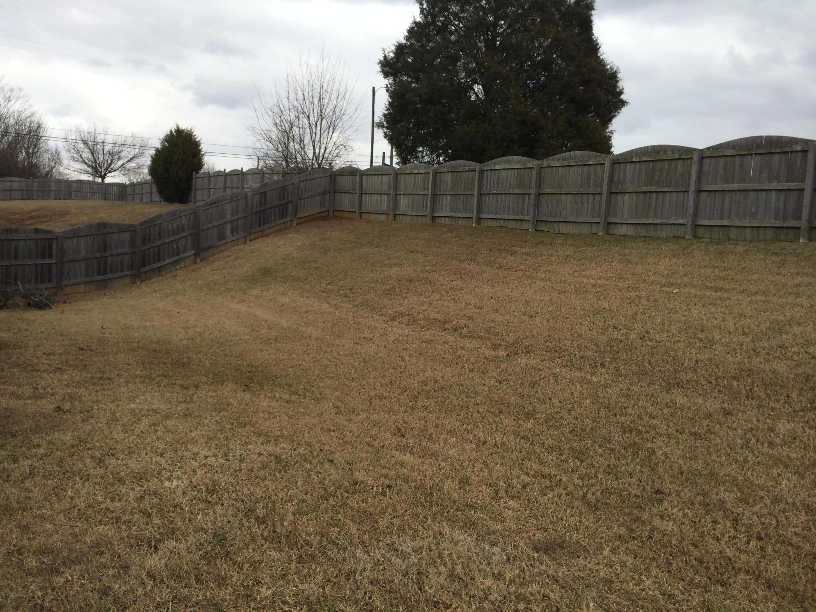 2000 Farmstead Lane Powell, TN 37849 - Photo 22 of 28 IMG_6923