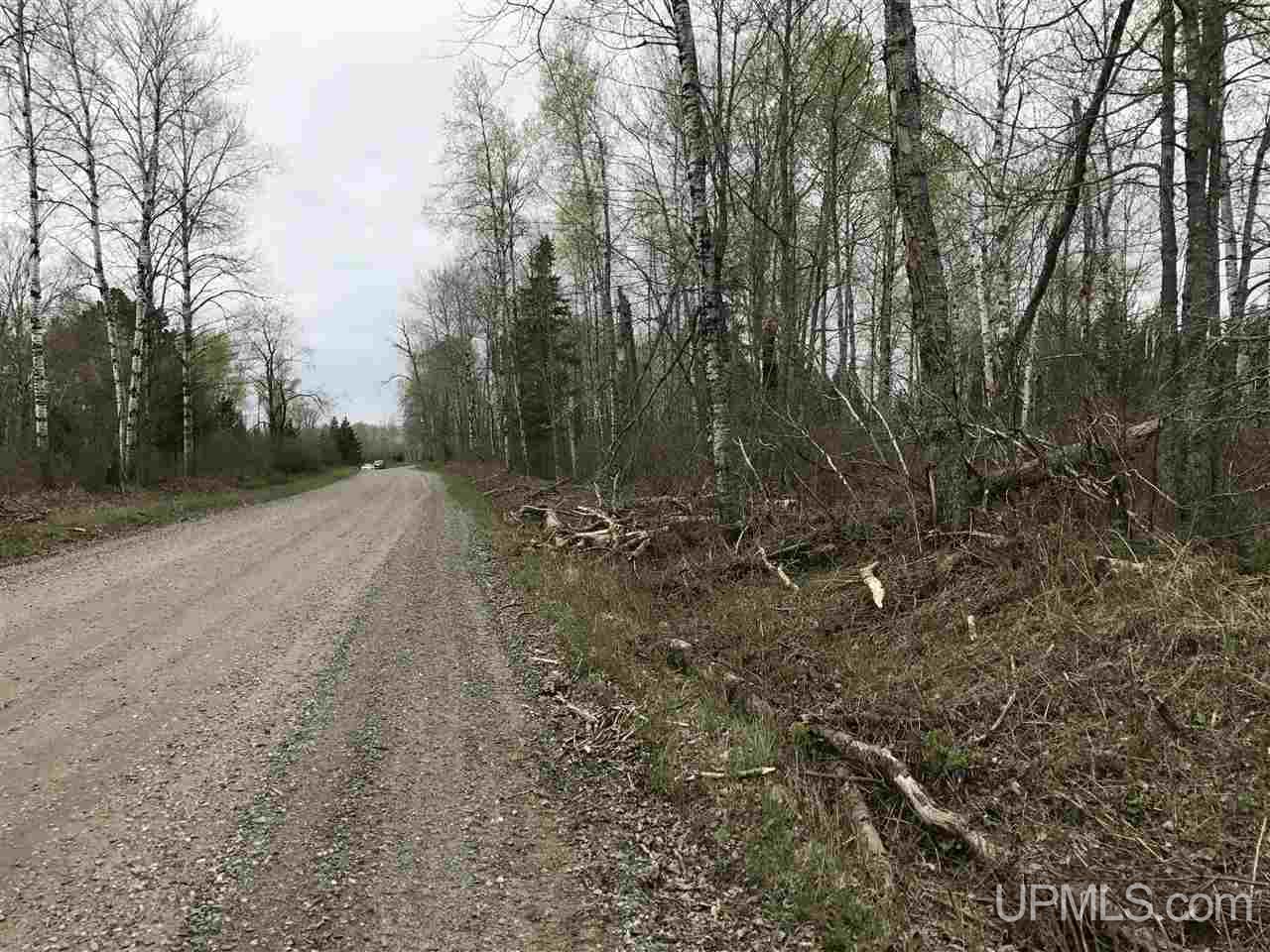 40-ac Kelso Road Crystal Falls, MI 49920 - Photo 17 of 21