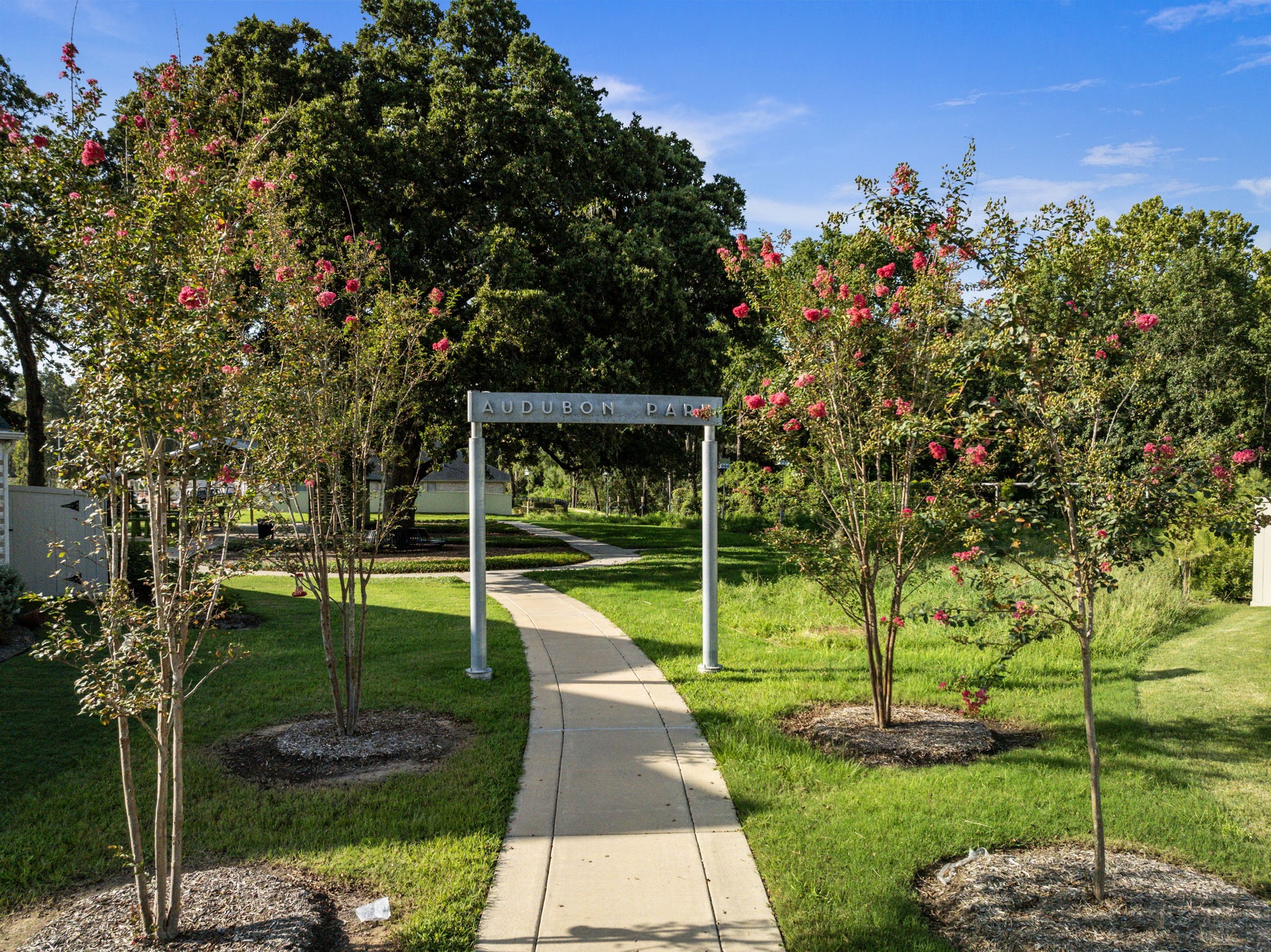 15423 Ringbill Way Magnolia, TX 77354 - Photo 49 of 50 a view of a park with large trees