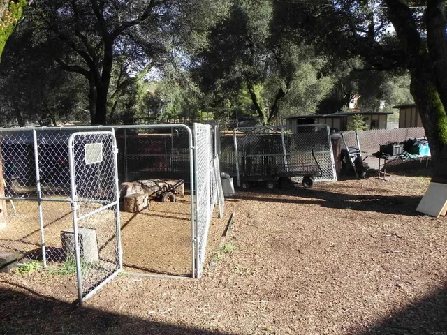 a view of a park with large trees