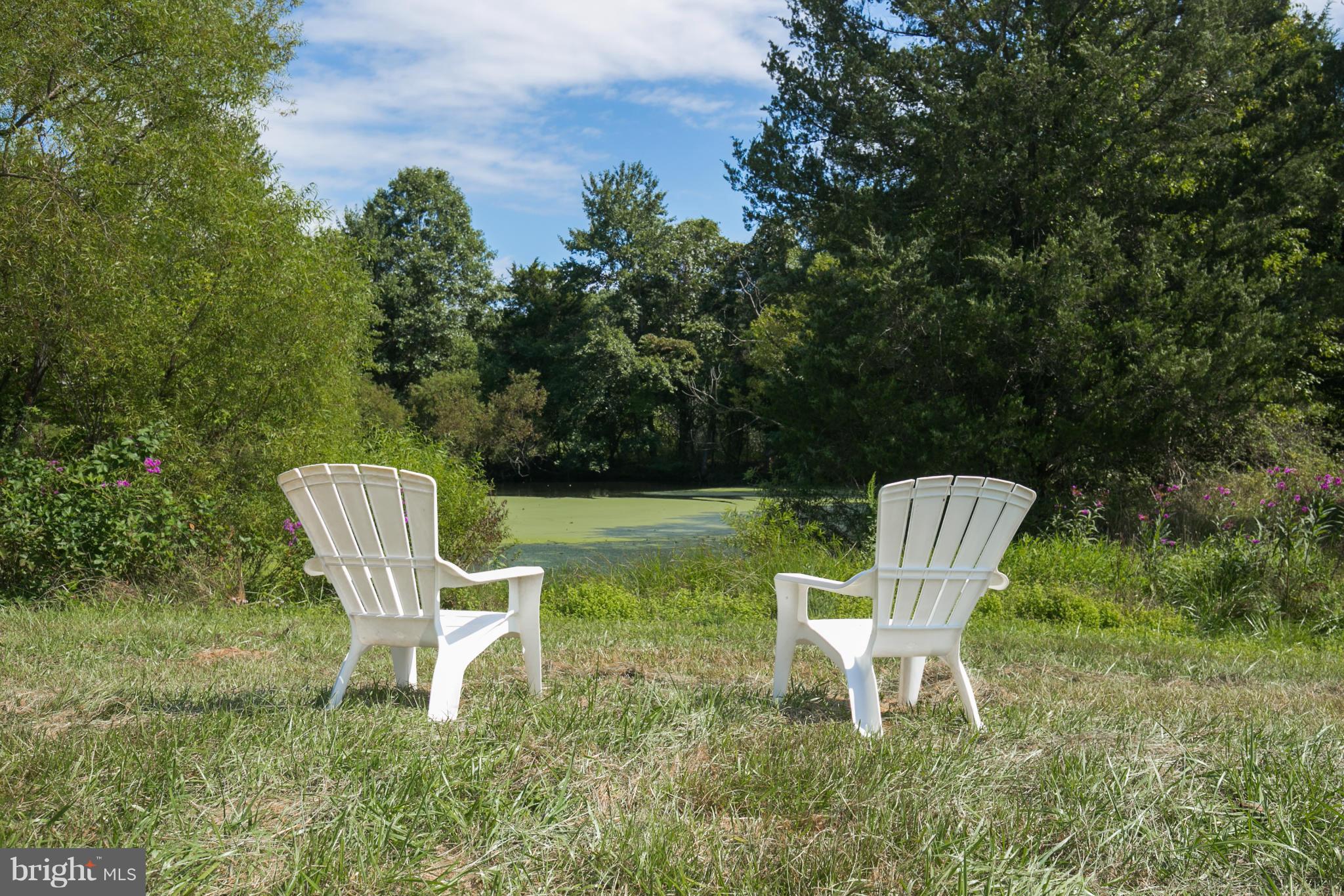 6084 Old Bust Head Road Broad Run, VA 20137 - Photo 28 of 30 Pond view at the rear of the lot