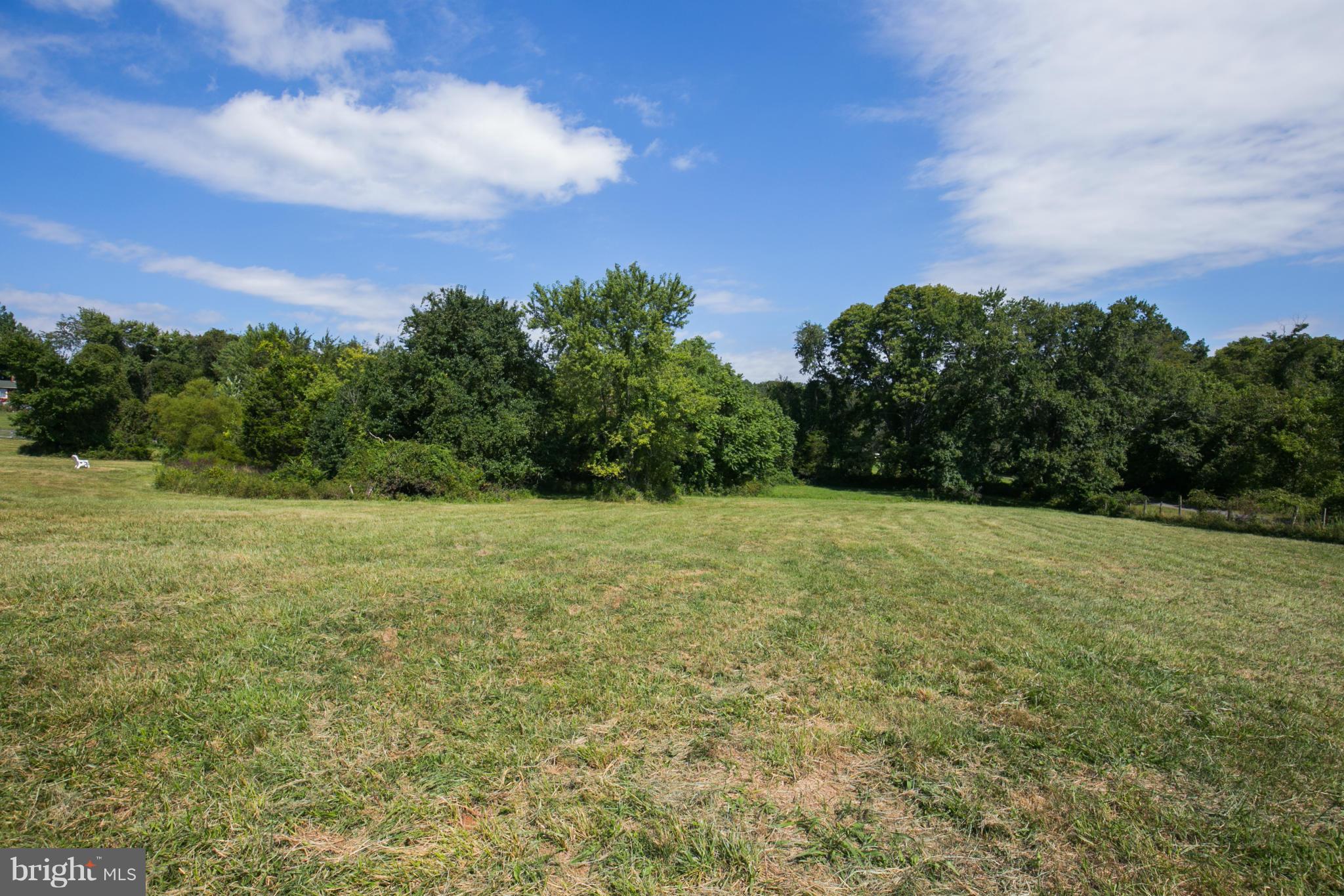 6084 Old Bust Head Road Broad Run, VA 20137 - Photo 30 of 30 Pastoral View