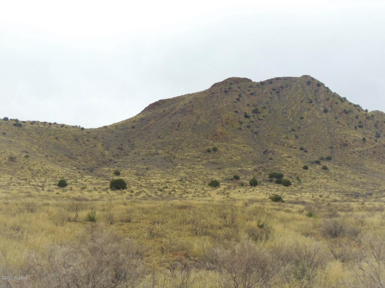10811 South Jantos Road Willcox, AZ 85643 - Photo 4 of 13