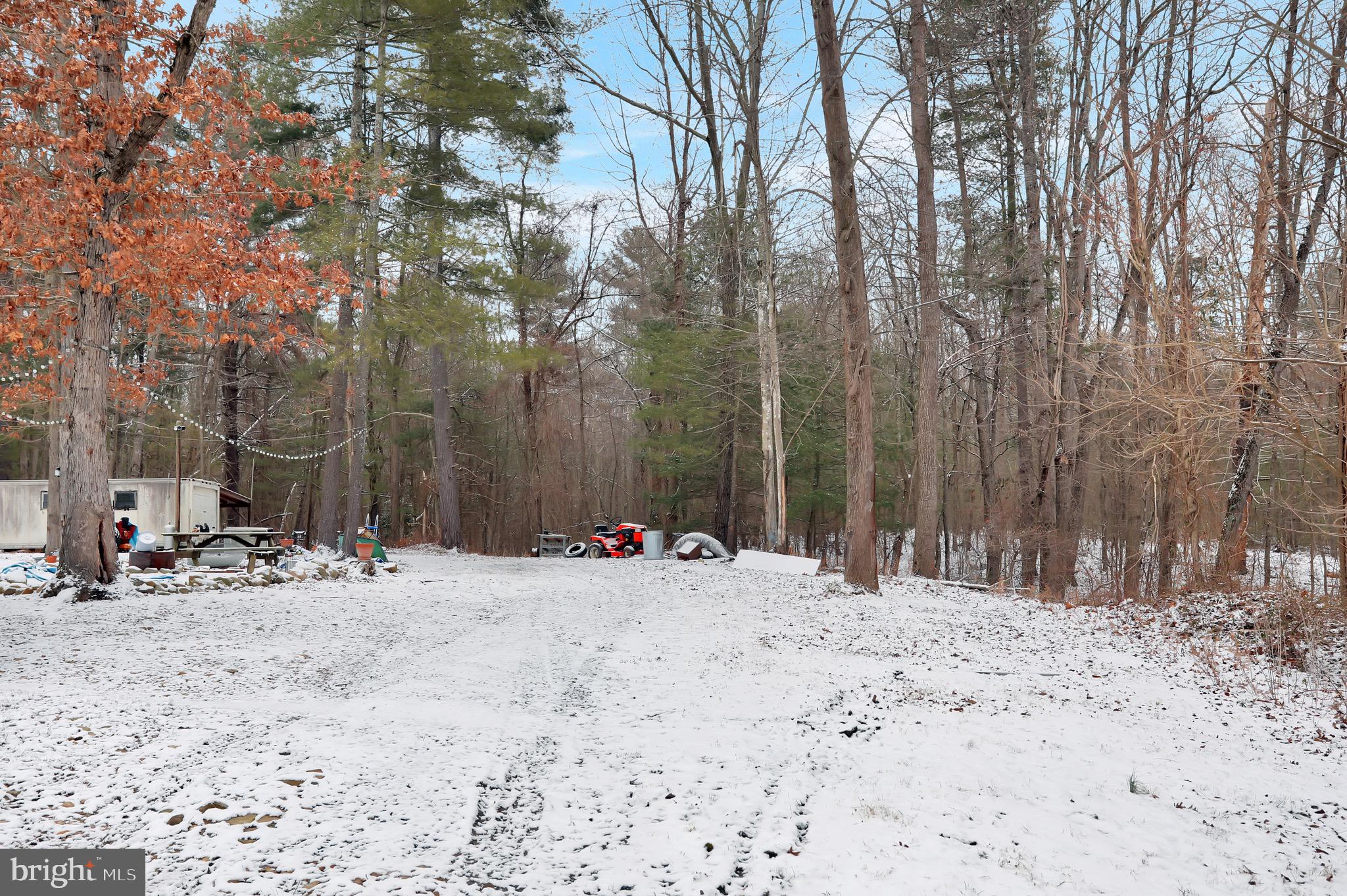 984 Clearview Road Luray, VA 22835 - Photo 47 of 52 Gallery Image 47