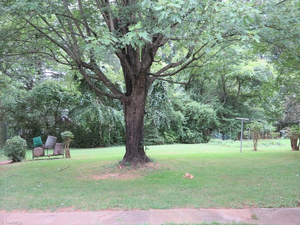 4744 Germanton Road Winston-Salem, NC 27105 - Photo 18 of 25 Backyard view - dog run and garden space