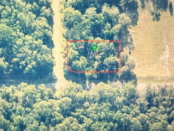 a view of a lake with a tree
