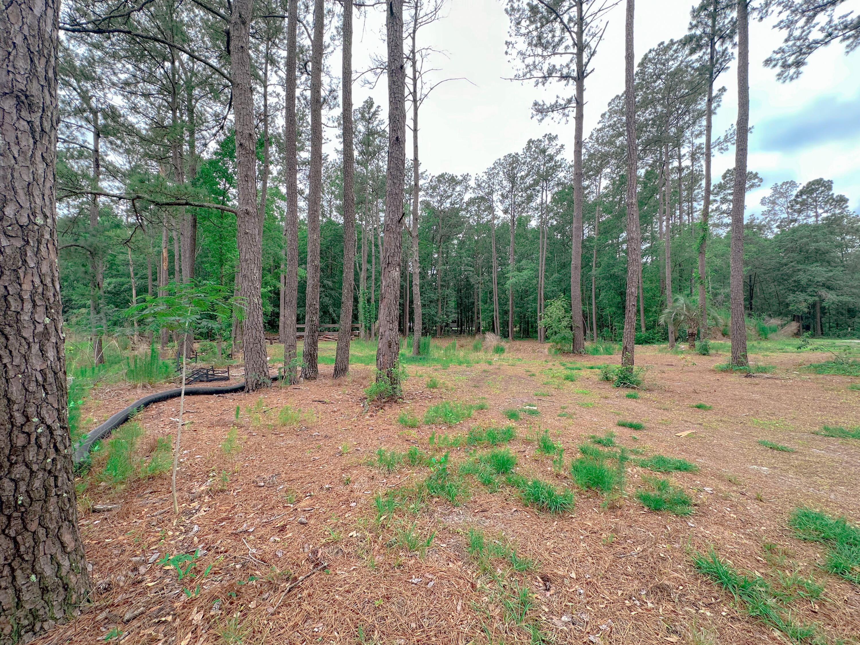 1745 Sandridge Road Dorchester, SC 29437 - Photo 52 of 59 4F34C704-6F94-441C-8F58-138FDDB0D943