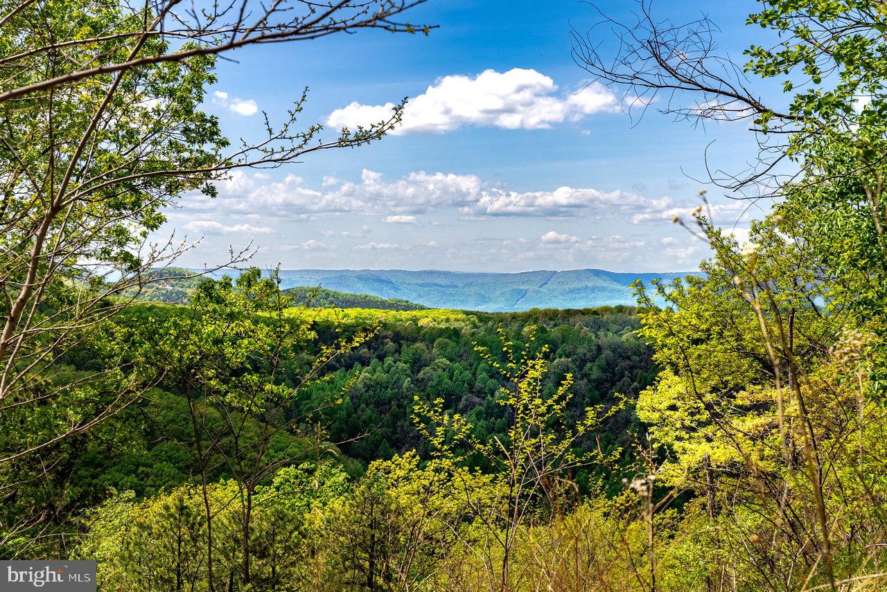 1 Cubbage Hollow Road Stanley, VA 22851 - Photo 1 of 49 Gallery Image 1