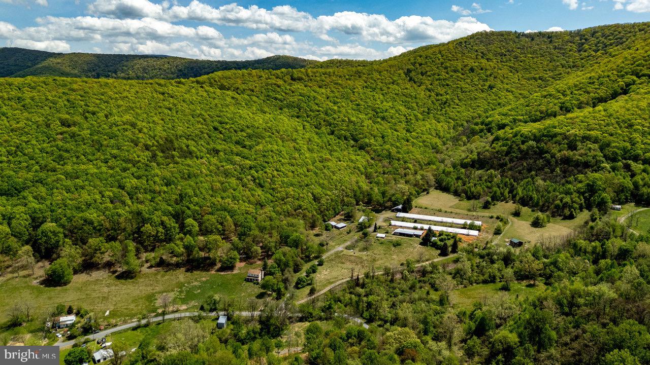 1 Cubbage Hollow Road Stanley, VA 22851 - Photo 11 of 49 Gallery Image 11