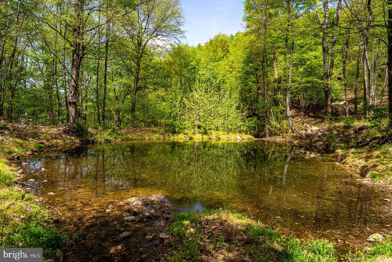 1 Cubbage Hollow Road Stanley, VA 22851 - Photo 31 of 49 Gallery Image 31