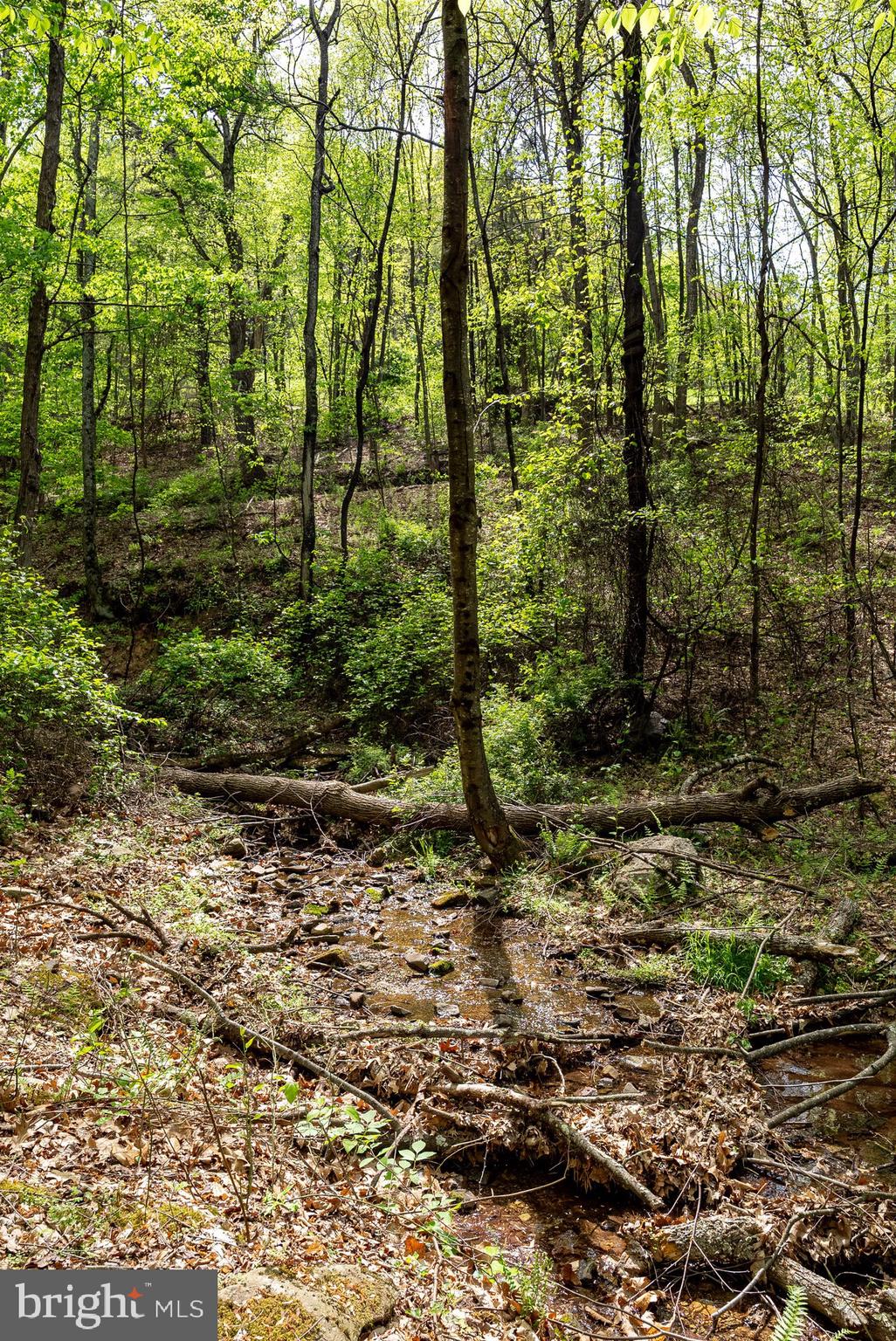 1 Cubbage Hollow Road Stanley, VA 22851 - Photo 33 of 49 Gallery Image 33