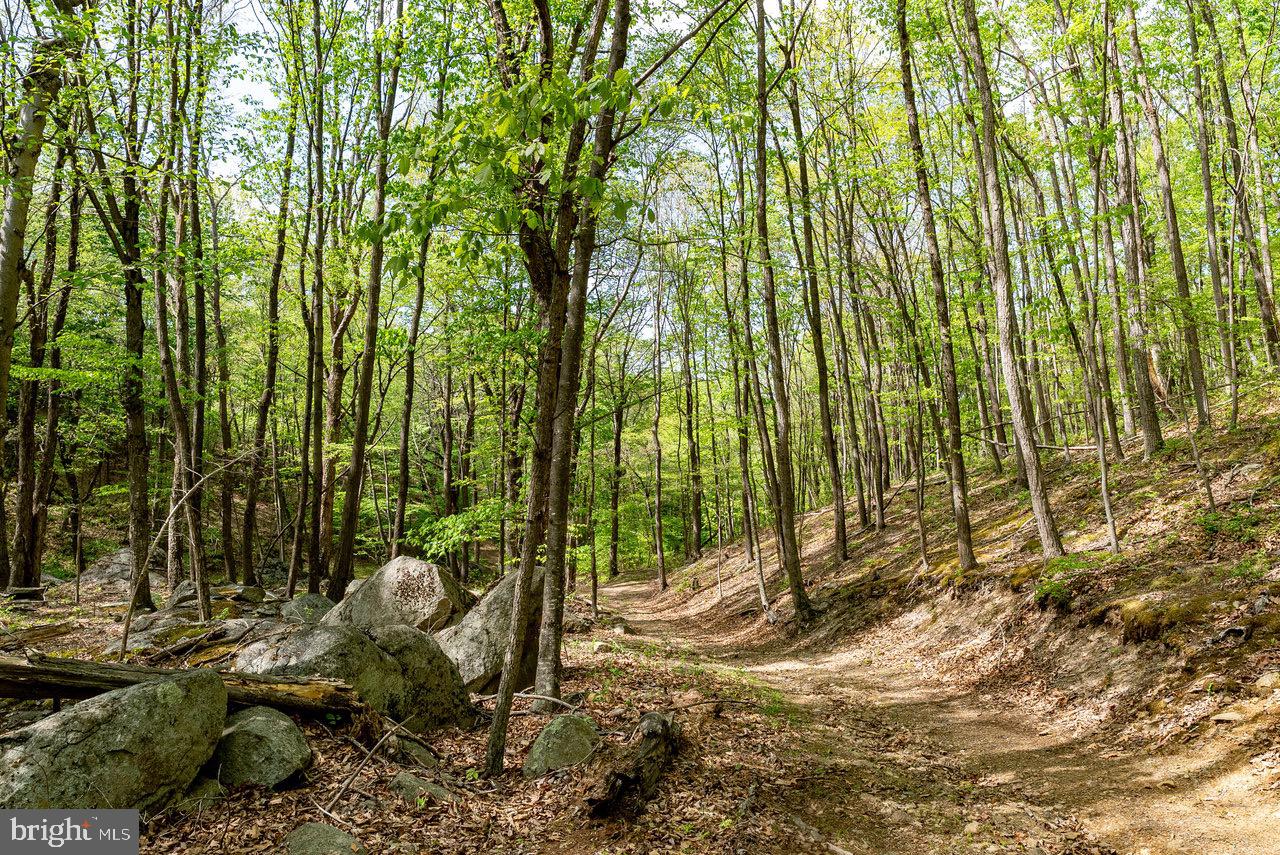 1 Cubbage Hollow Road Stanley, VA 22851 - Photo 40 of 49 Gallery Image 40