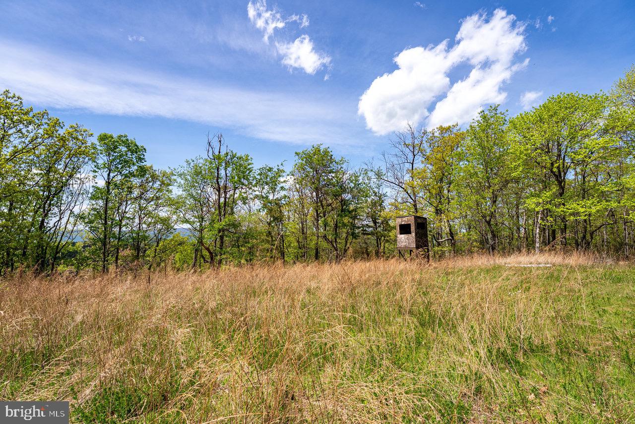 1 Cubbage Hollow Road Stanley, VA 22851 - Photo 41 of 49 Gallery Image 41