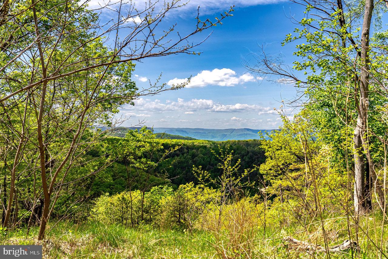1 Cubbage Hollow Road Stanley, VA 22851 - Photo 43 of 49 Gallery Image 43