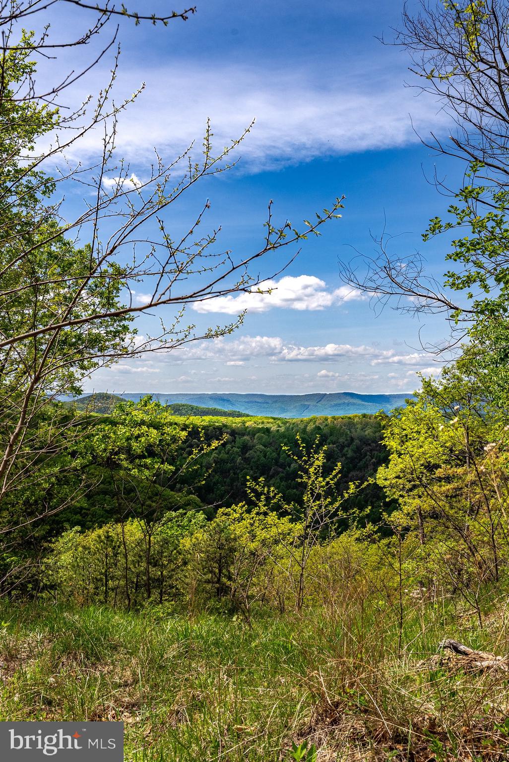 1 Cubbage Hollow Road Stanley, VA 22851 - Photo 44 of 49 Gallery Image 44