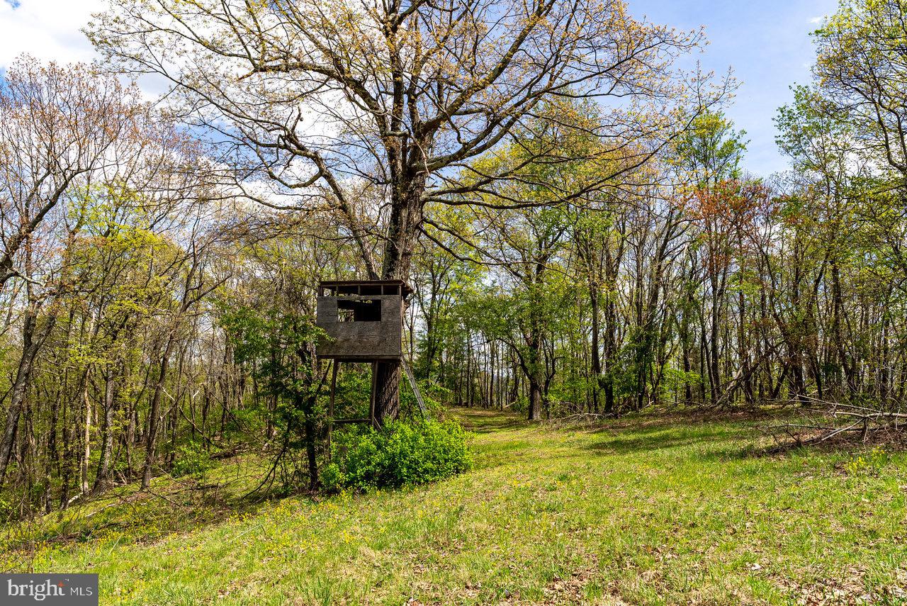 1 Cubbage Hollow Road Stanley, VA 22851 - Photo 45 of 49 Gallery Image 45