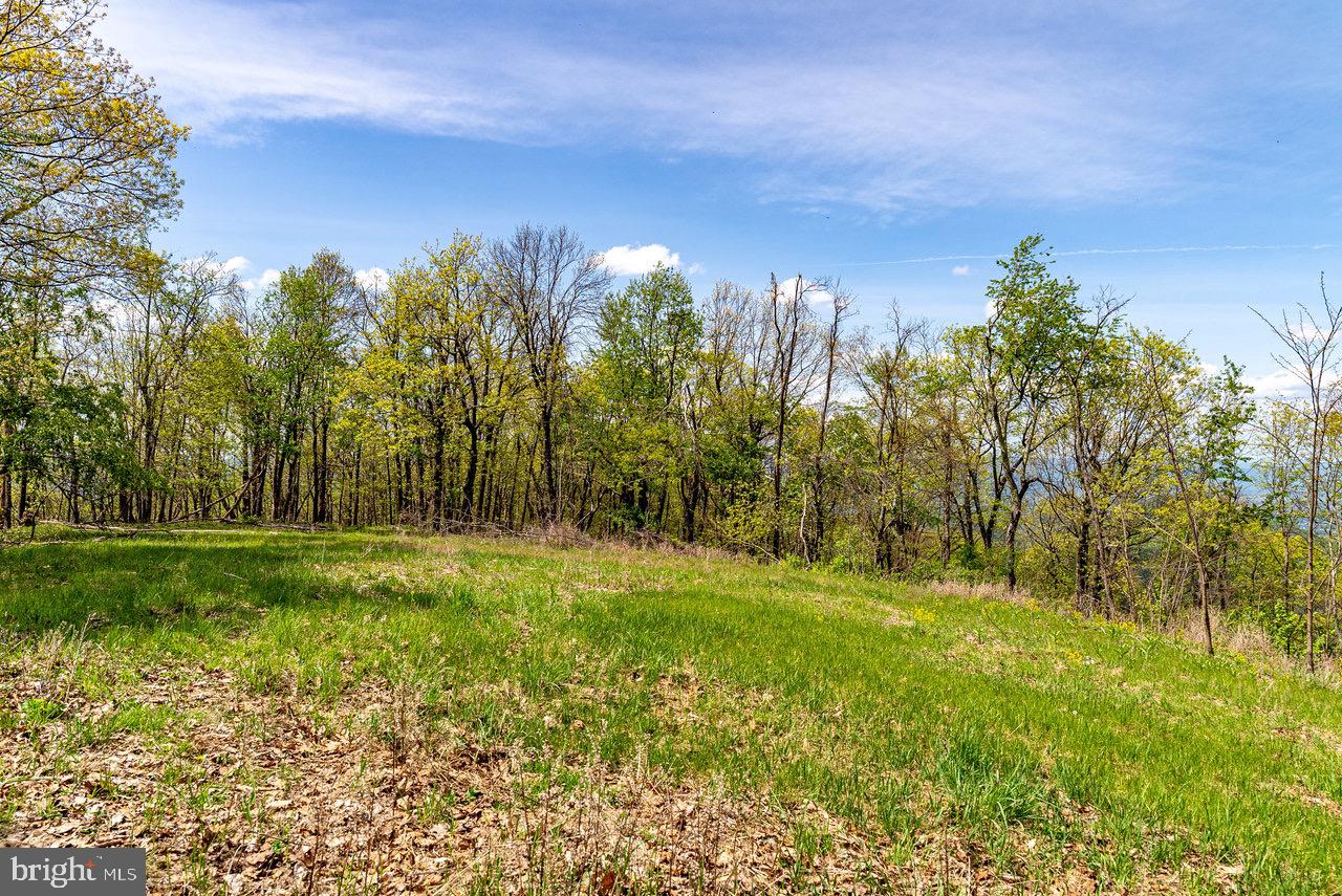 1 Cubbage Hollow Road Stanley, VA 22851 - Photo 47 of 49 Gallery Image 47