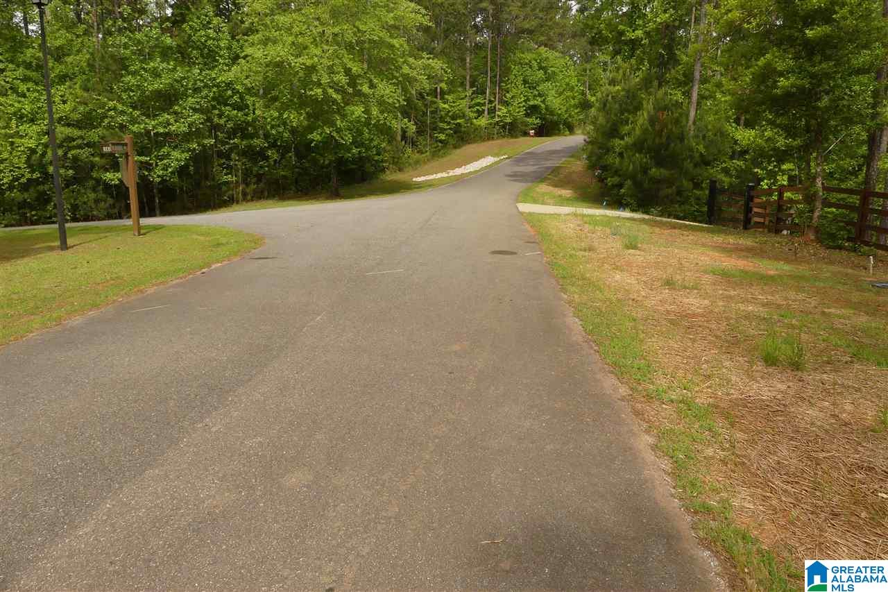 Lot 8 Bluegill Drive, Unit 8 Wedowee, AL 36278 - Photo 6 of 10