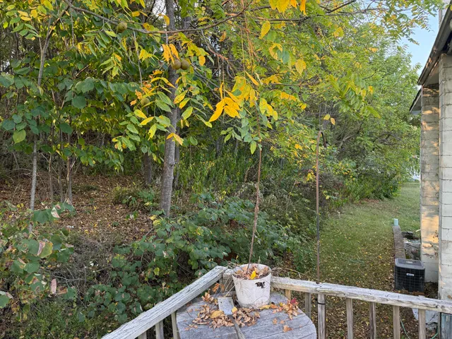 a view of a balcony with outdoor seating and trees