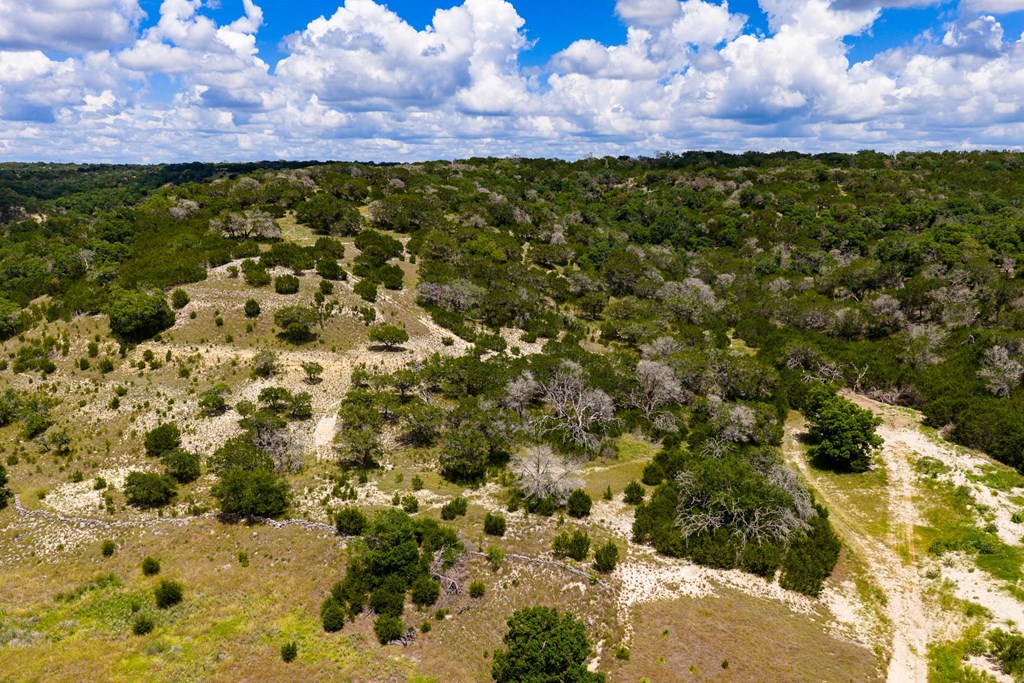 339 Henderson Branch Road West Ingram, TX 78025 - Photo 48 of 51