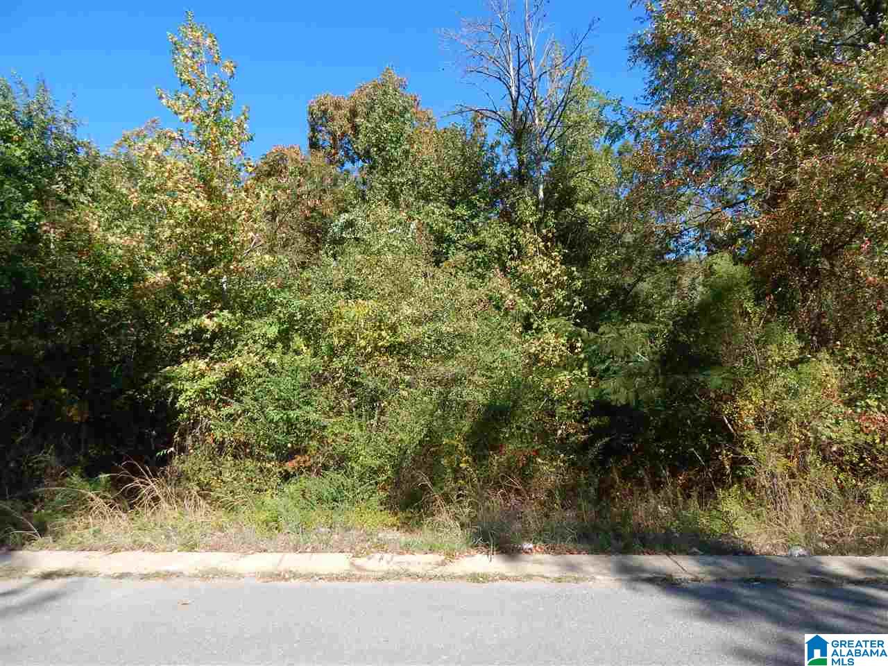144 Waters View, Unit 144 Quinton, AL 35130 - Photo 2 of 9