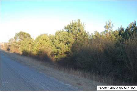 66 County Road, Unit 50 Woodland, AL 36280 - Photo 12 of 12
