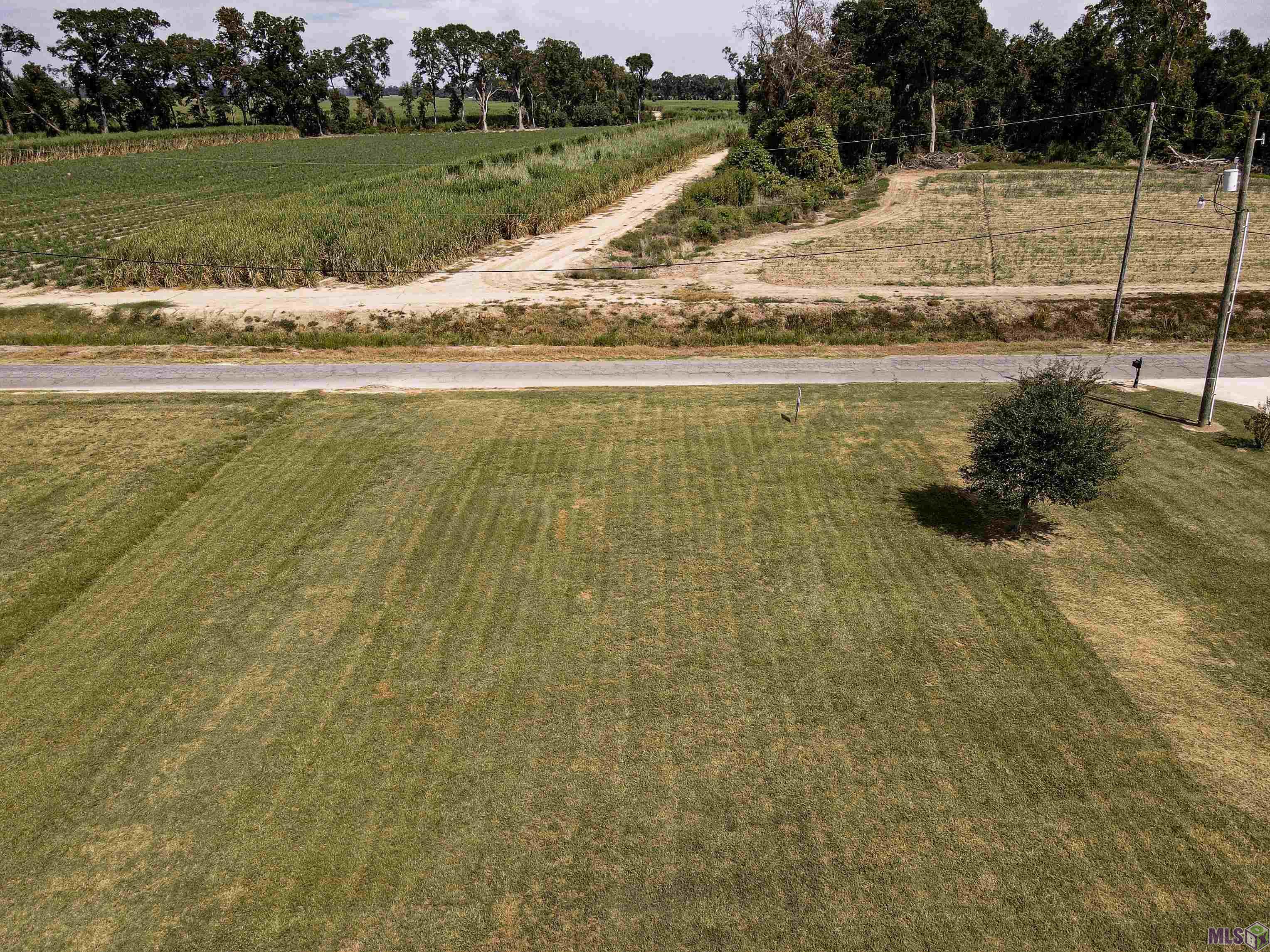 12408 Lorio Dairy Road Lakeland, LA 70752 - Photo 2 of 6