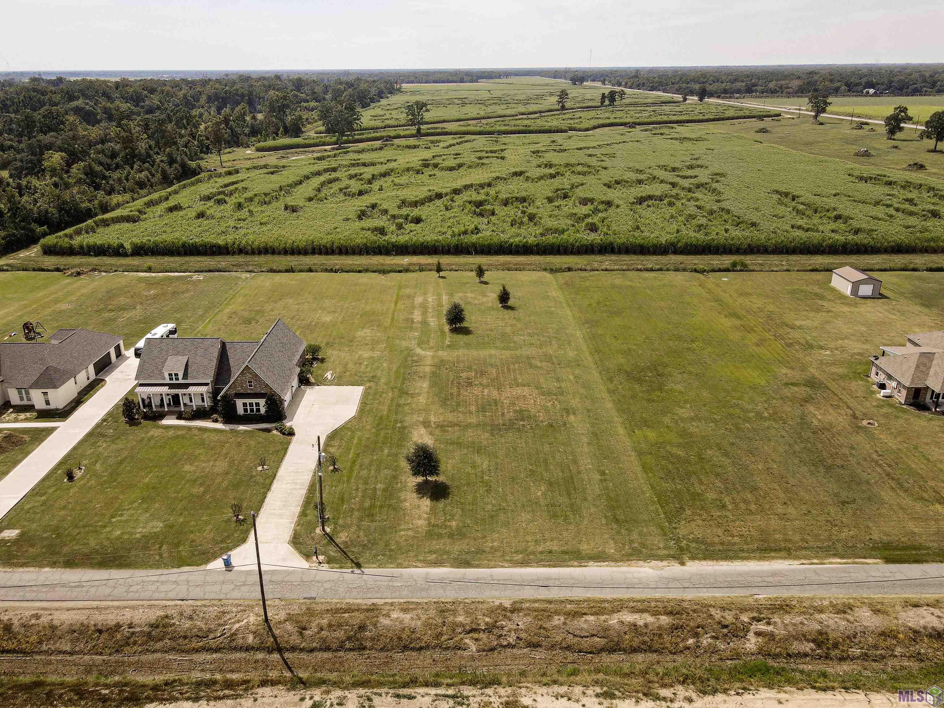 12408 Lorio Dairy Road Lakeland, LA 70752 - Photo 3 of 6