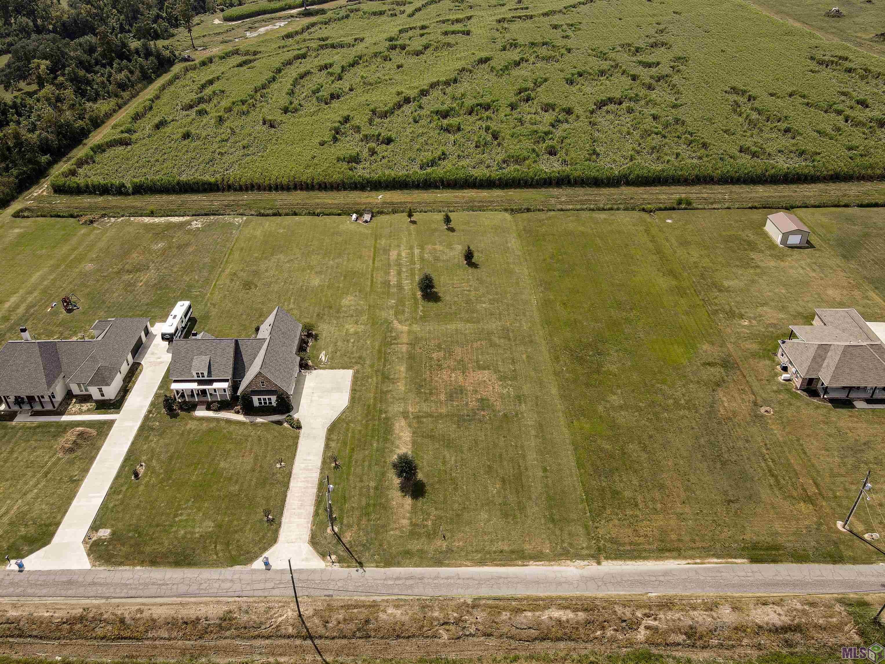 12408 Lorio Dairy Road Lakeland, LA 70752 - Photo 5 of 6