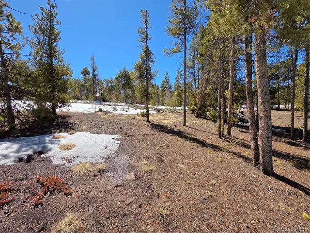 $100,000 | 20 & 29 Twin Lakes, Leadville, CO 80461