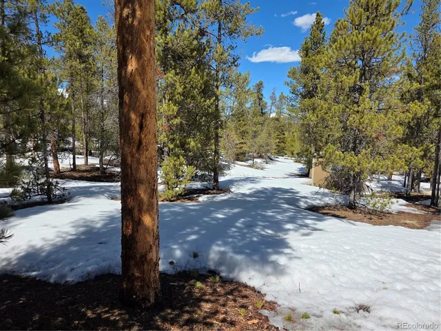 $100,000 | 20 & 29 Twin Lakes, Leadville, CO 80461