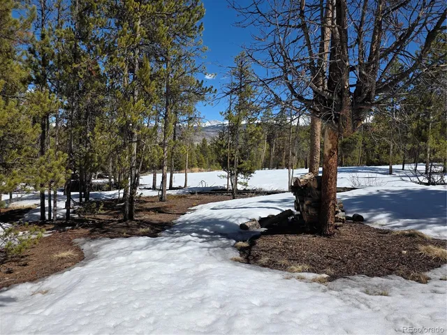 $100,000 | 20 & 29 Twin Lakes, Leadville, CO 80461