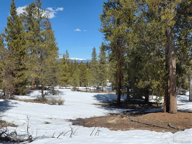 $100,000 | 20 & 29 Twin Lakes, Leadville, CO 80461