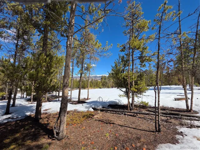 $100,000 | 20 & 29 Twin Lakes, Leadville, CO 80461