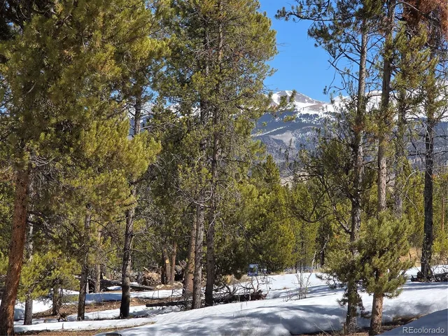 $100,000 | 20 & 29 Twin Lakes, Leadville, CO 80461