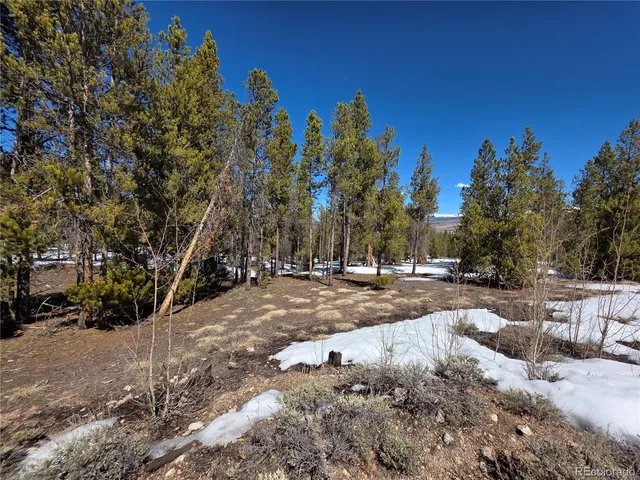 $100,000 | 20 & 29 Twin Lakes, Leadville, CO 80461