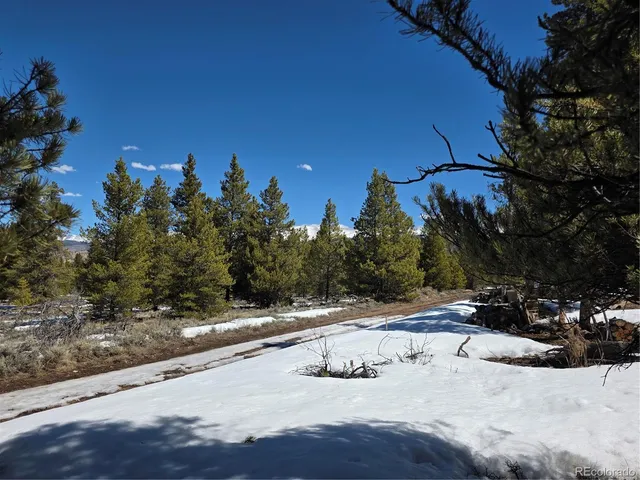 $100,000 | 20 & 29 Twin Lakes, Leadville, CO 80461