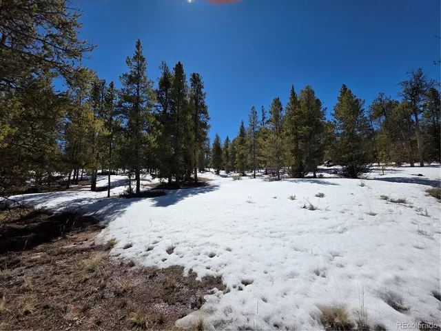 $100,000 | 20 & 29 Twin Lakes, Leadville, CO 80461