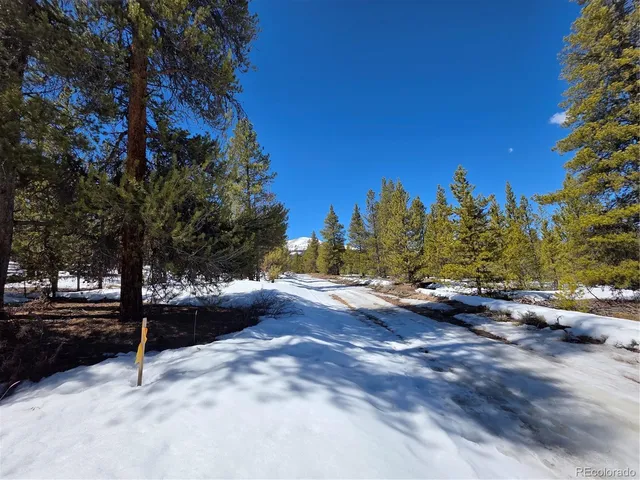 $100,000 | 20 & 29 Twin Lakes, Leadville, CO 80461