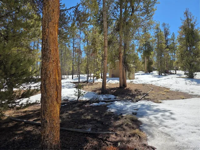 $100,000 | 20 & 29 Twin Lakes, Leadville, CO 80461