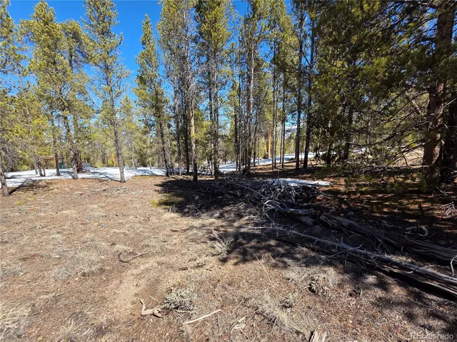 $100,000 | 20 & 29 Twin Lakes, Leadville, CO 80461