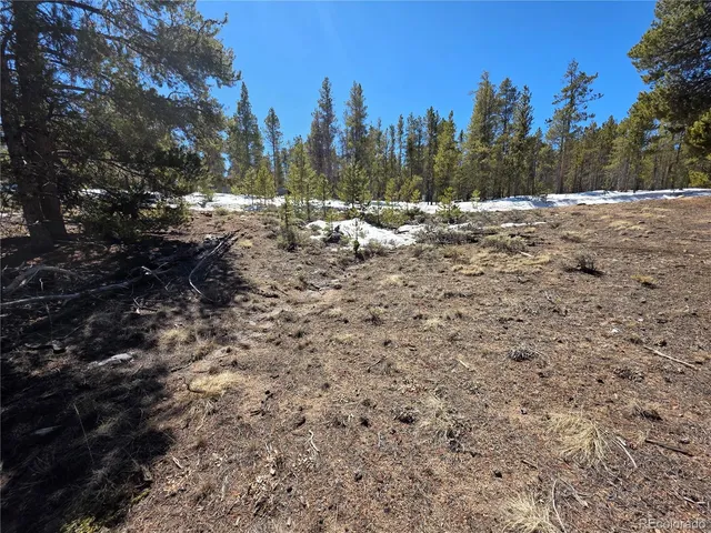 $100,000 | 20 & 29 Twin Lakes, Leadville, CO 80461
