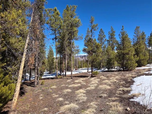 $100,000 | 20 & 29 Twin Lakes, Leadville, CO 80461