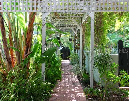 Yard/Garden