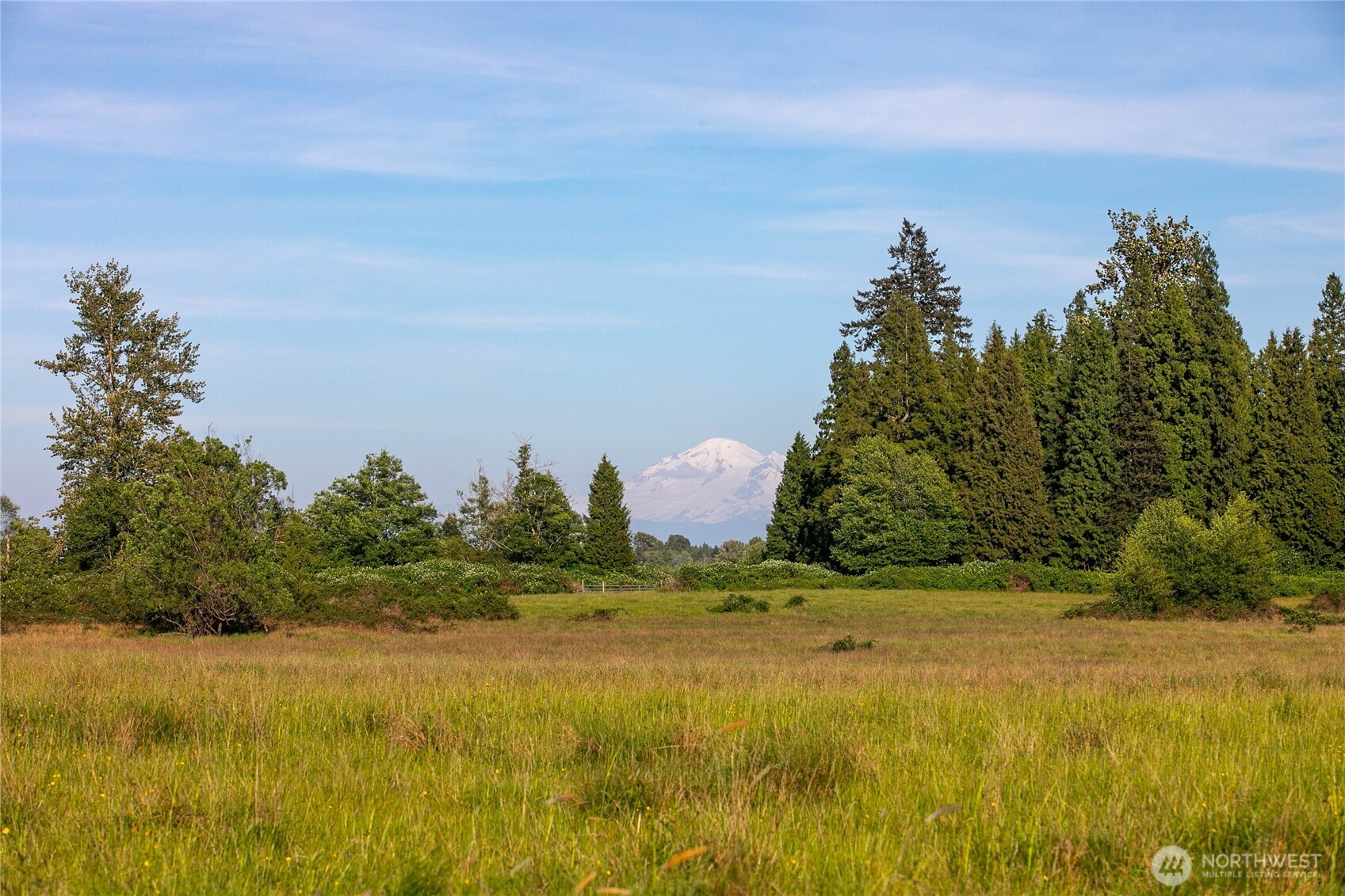 a view of a lake with a yard