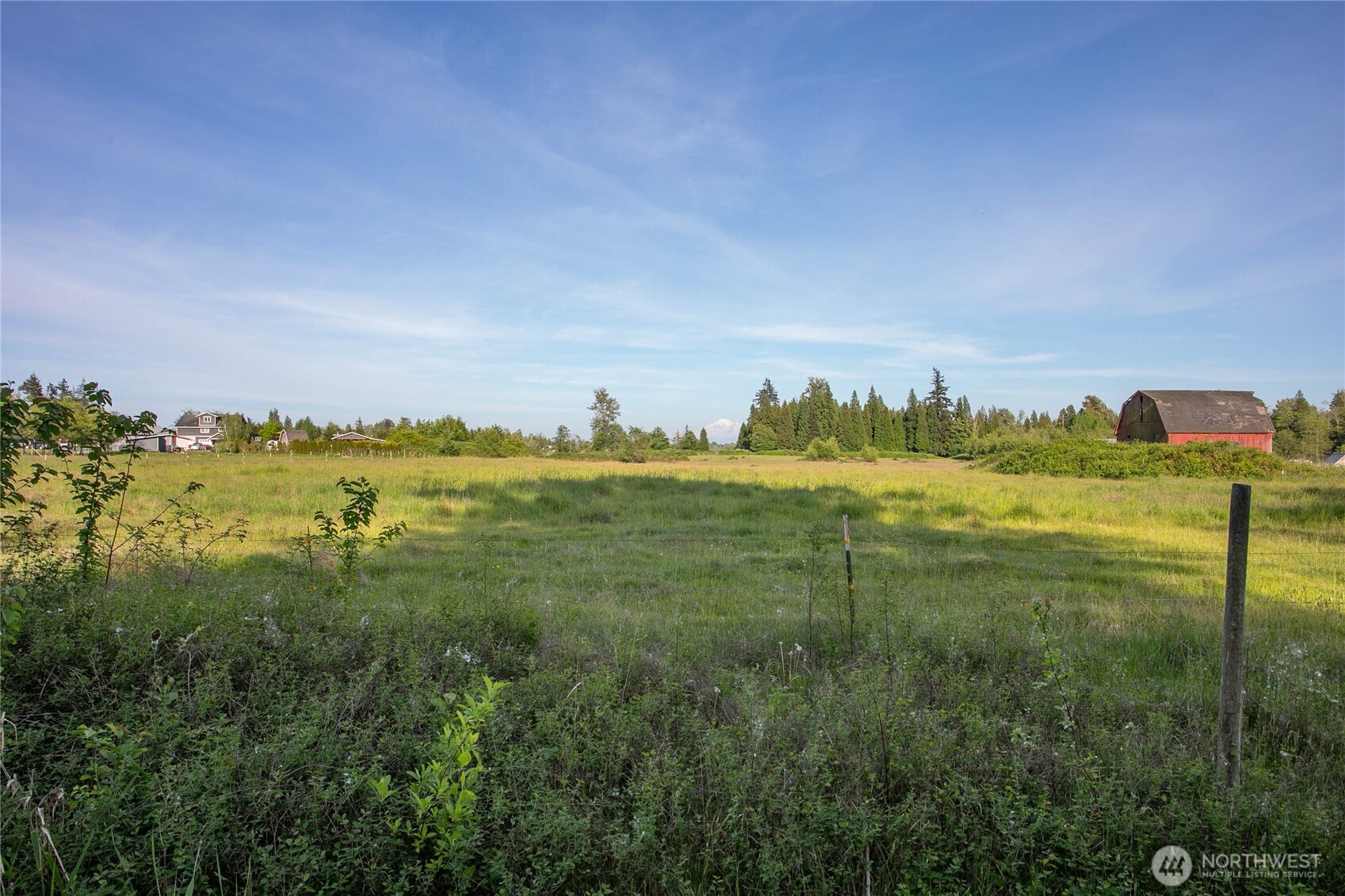 5958 North Star Road Ferndale, WA 98248 - Photo 11 of 18 a view of a big yard and large trees